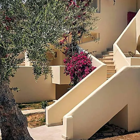 Tsamis Zante (adults Only)