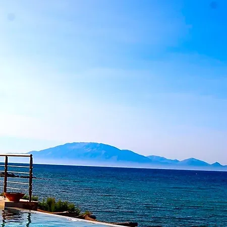 酒店 Tsamis Zante (adults Only) 查加基恩