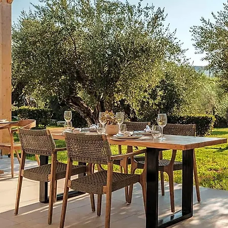 Hotel Tsamis Zante (adults Only) Tragaki
